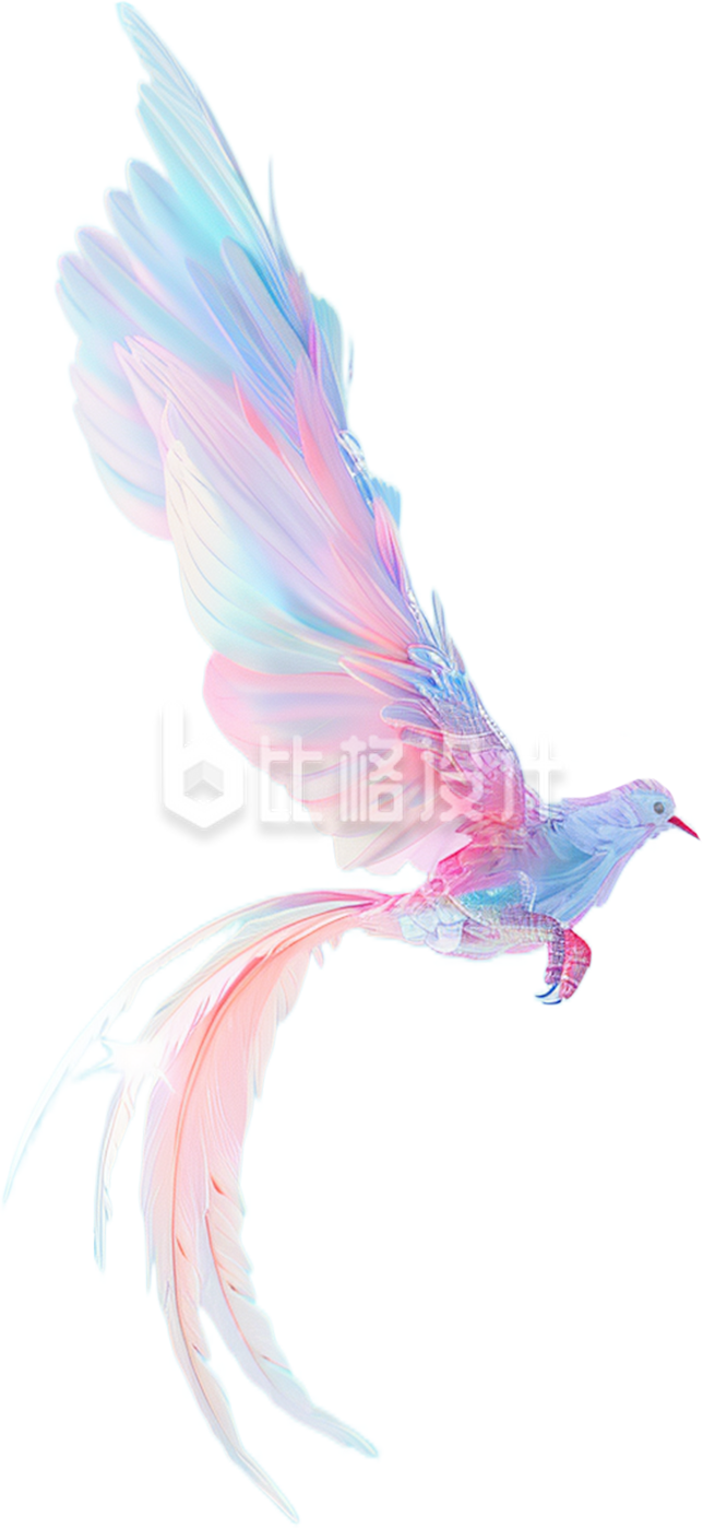 一只彩色的小鸟