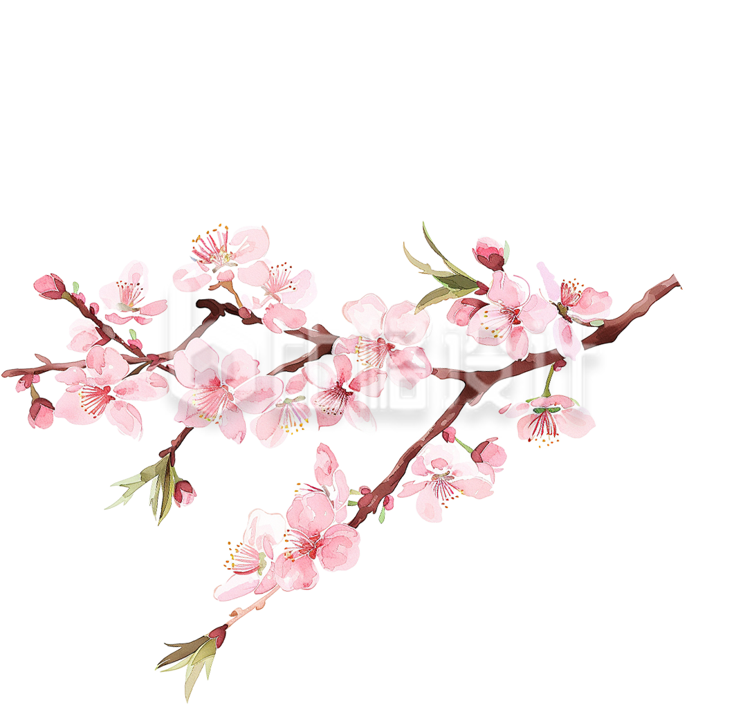一枝桃花手绘