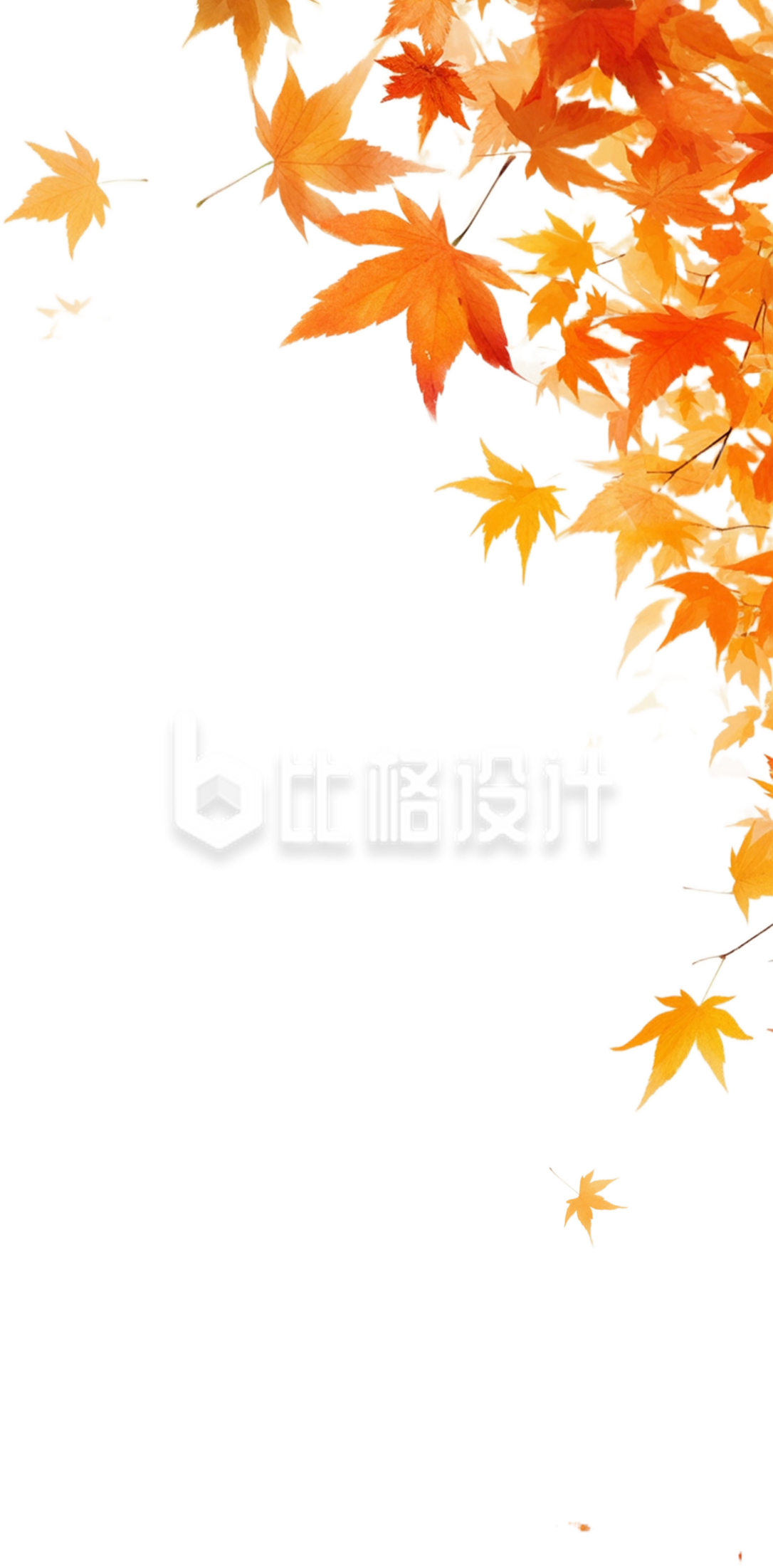 枫叶