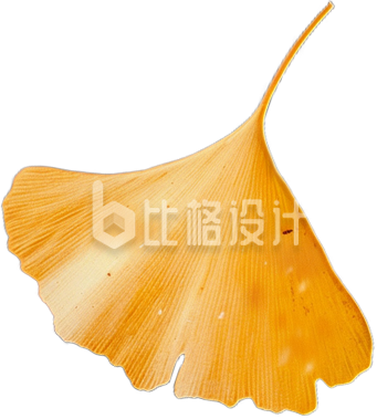 银杏叶
