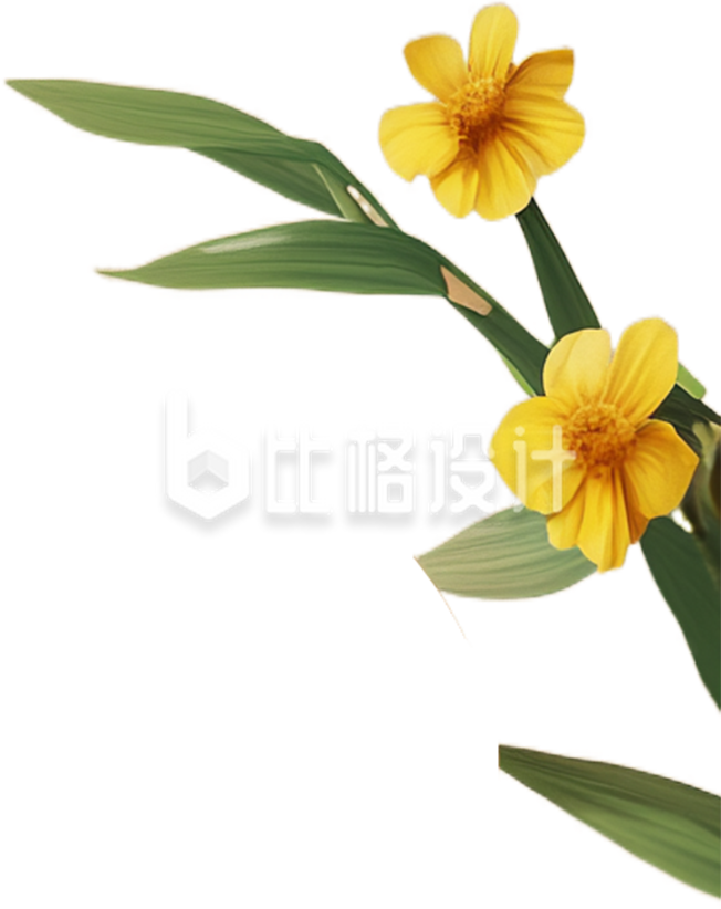 一枝黄色的花朵