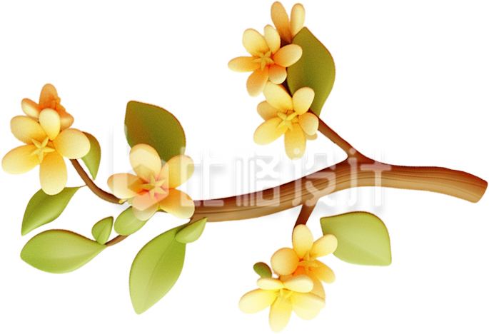 桂花3D植物手绘