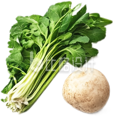 蔬菜