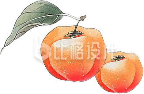 水果柿子手绘插画
