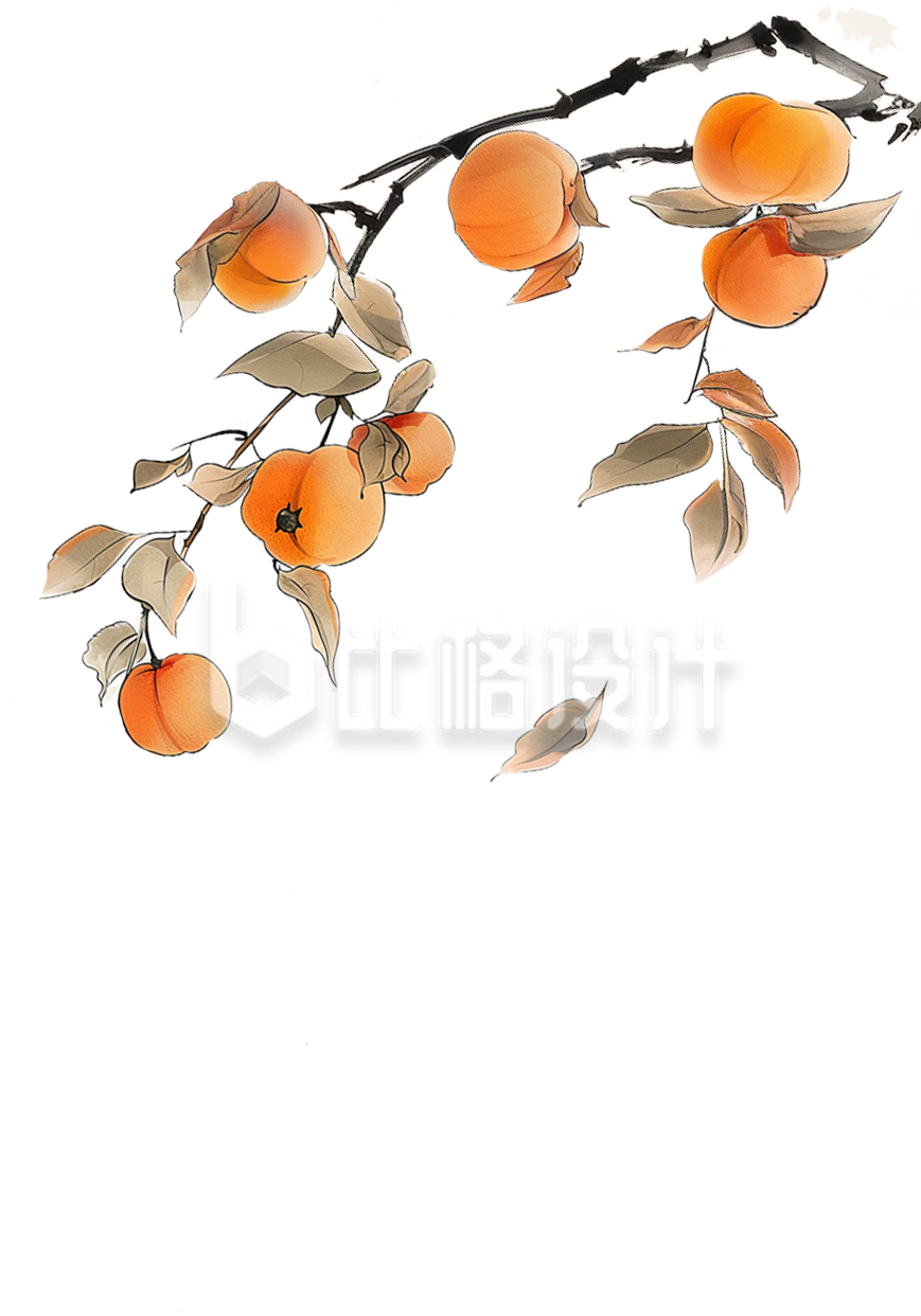 秋季柿子手绘水果插画