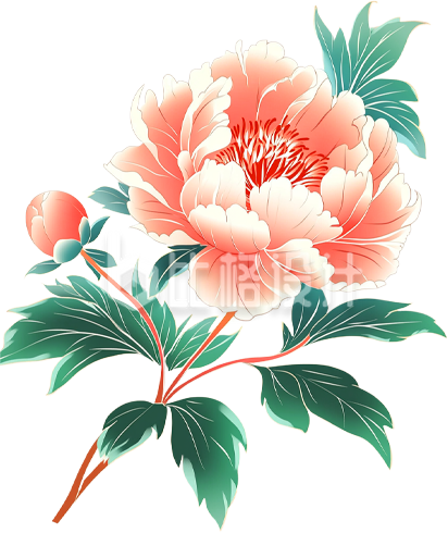 手绘牡丹花