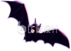 蝙蝠