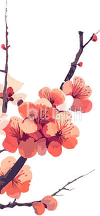 梅花