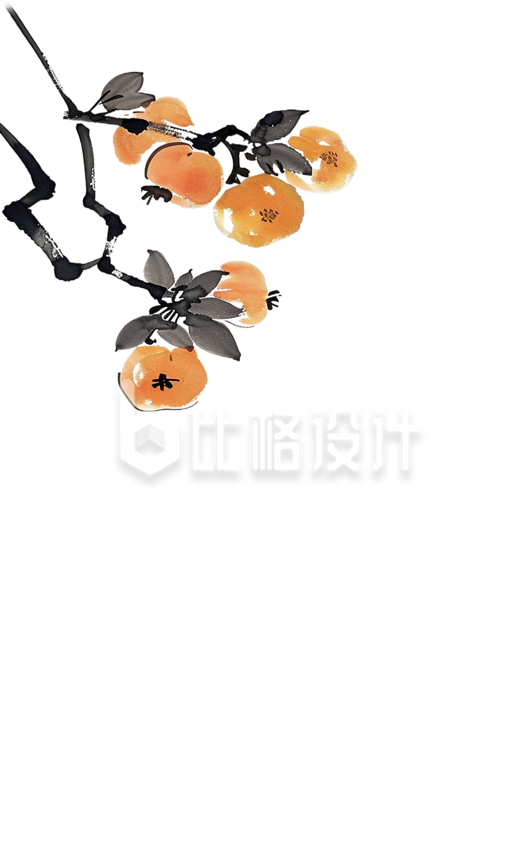 柿子手绘水果植物插画