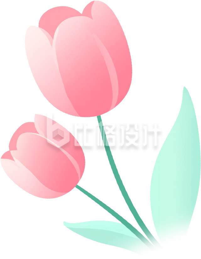 粉色的花朵郁金香