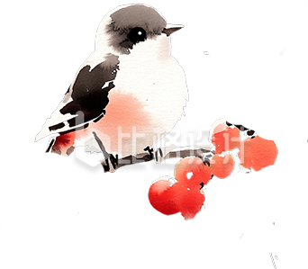 一只可爱的小鸟