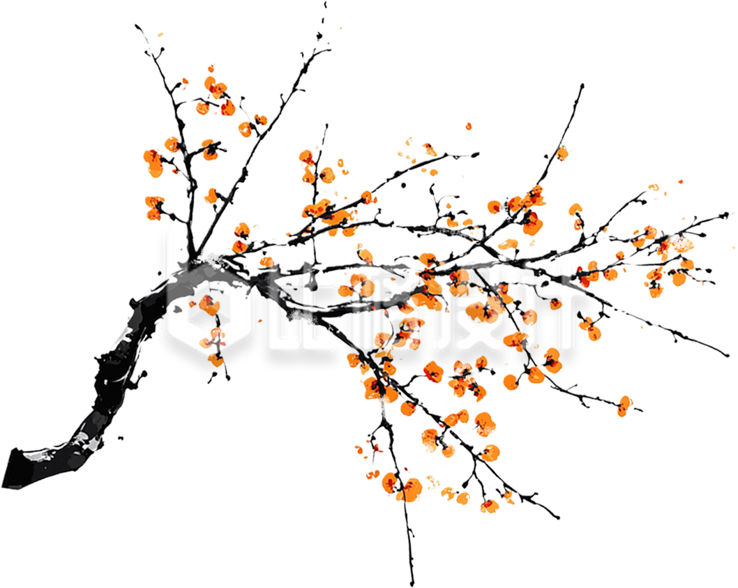 手绘腊梅树枝