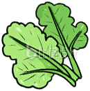 手绘青菜
