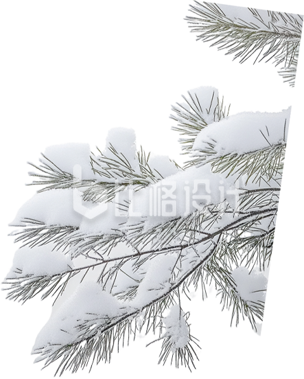 积雪的树枝