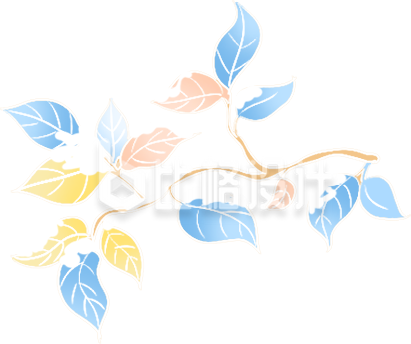 树枝冬天手绘插画