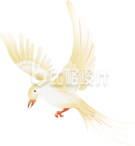 鸽子手绘