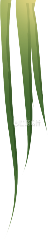 葱