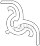 纹样装饰手绘