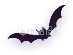万圣节蝙蝠