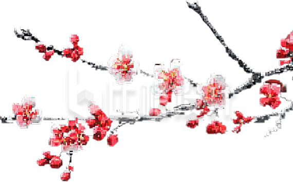 梅花