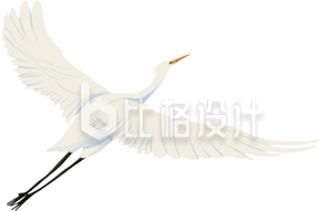 白色仙鹤手绘