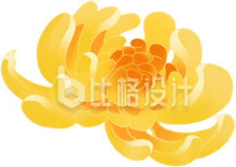 黄色菊花手绘