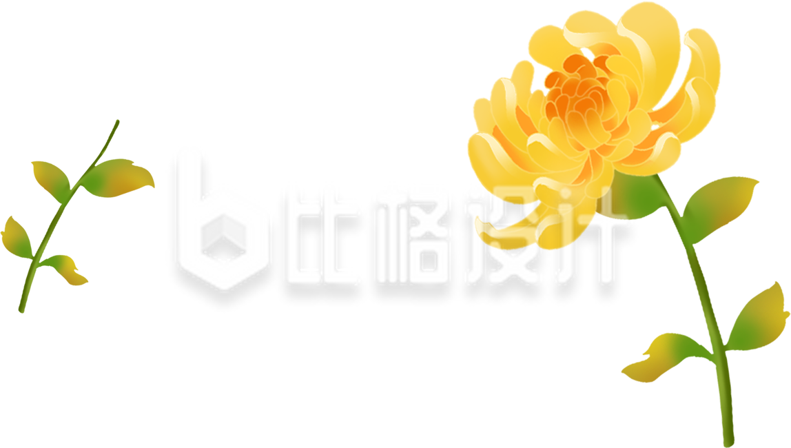 黄色菊花手绘