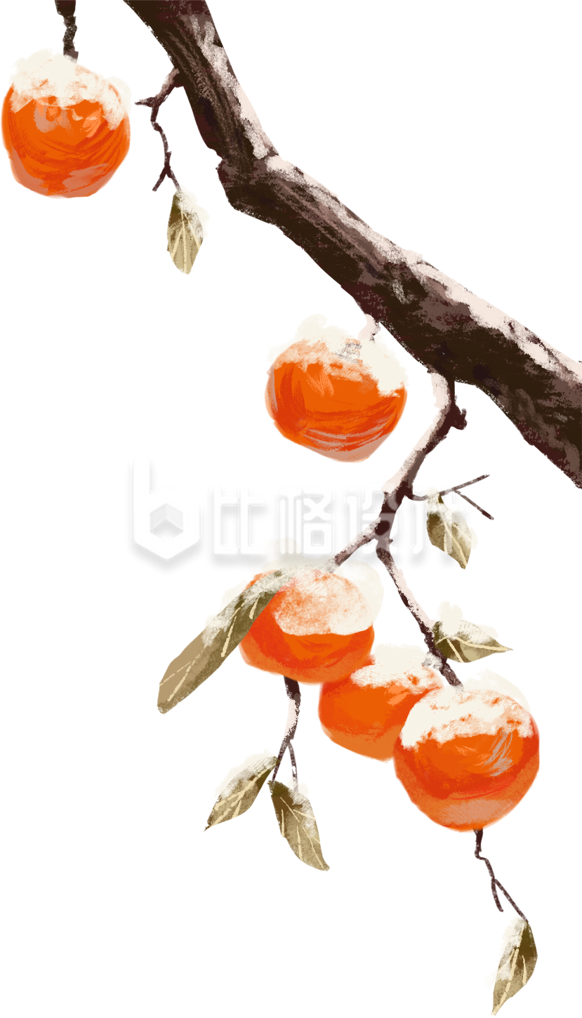柿子树枝手绘插画
