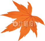 枫叶手绘
