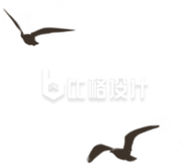 黑色小鸟剪影