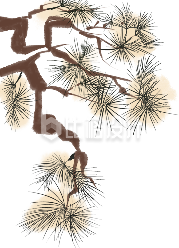 松树树枝手绘