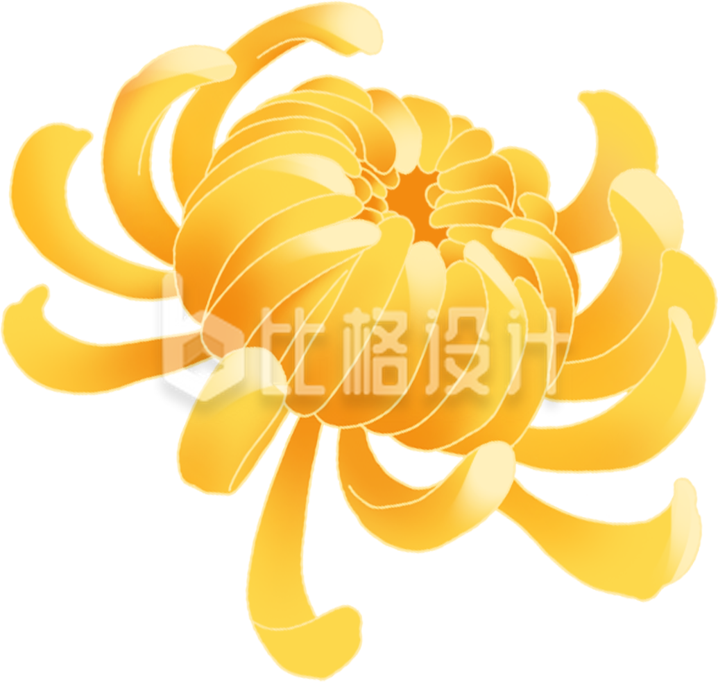 黄色菊花手绘