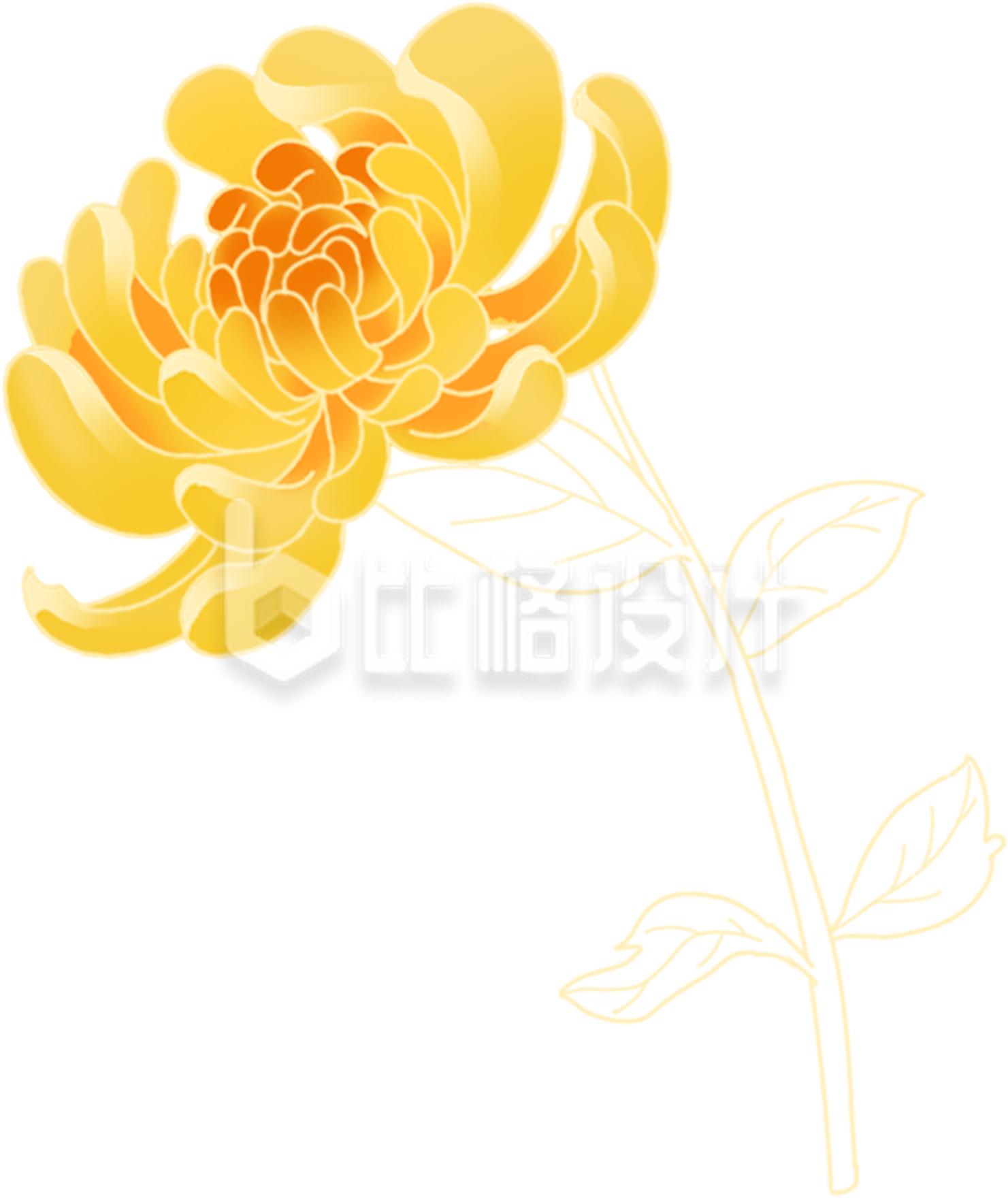 黄色菊花手绘