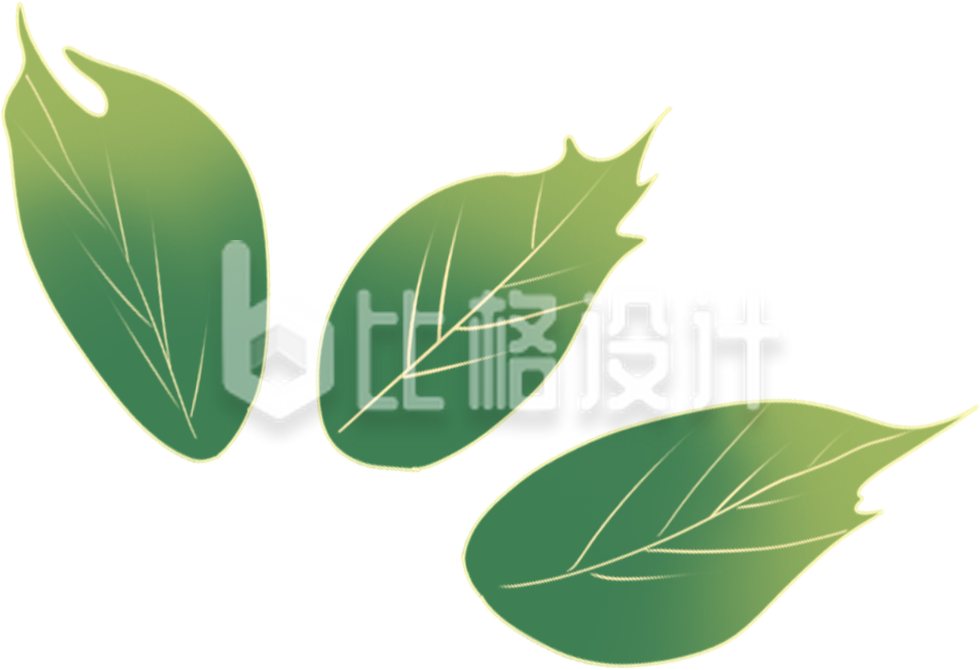 绿叶手绘