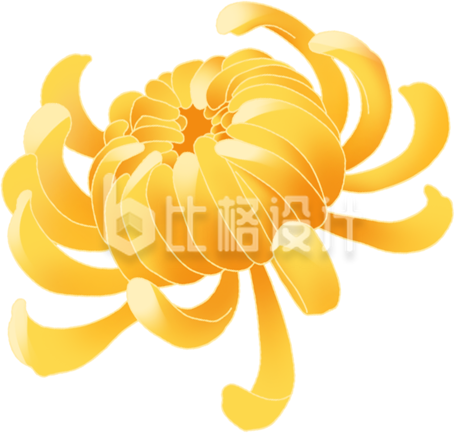黄色菊花手绘