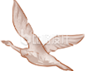 大雁手绘