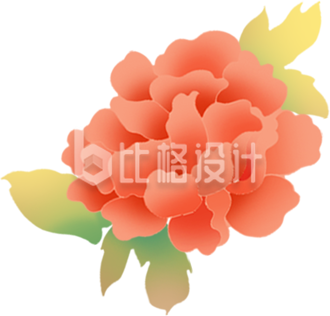 牡丹手绘