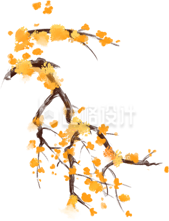 橙色树枝