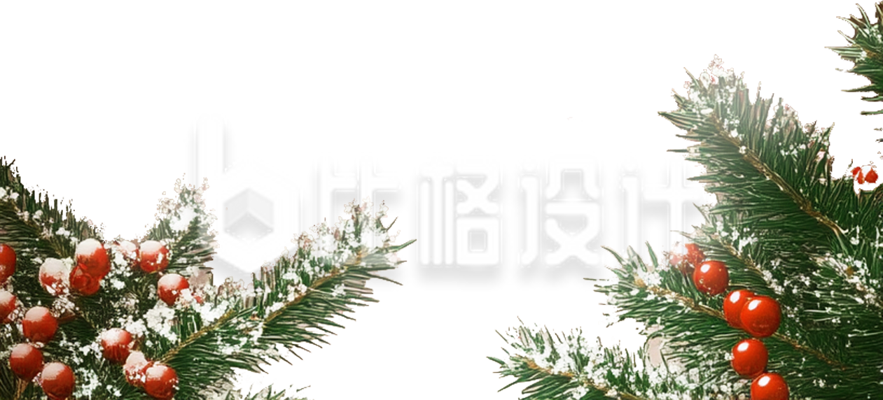 圣诞节松针植物装饰
