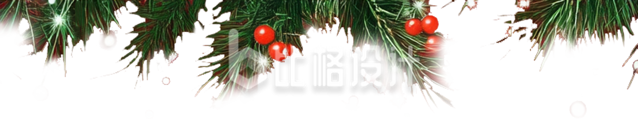 圣诞节松针植物装饰
