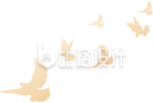 鸽子剪影