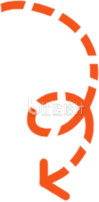 橙色箭头