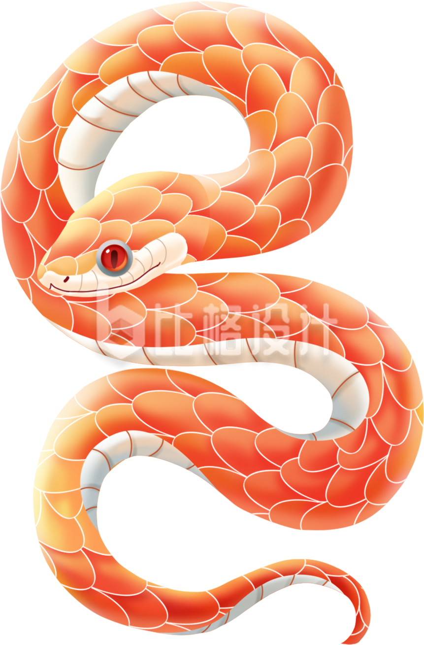 蛇手绘插画