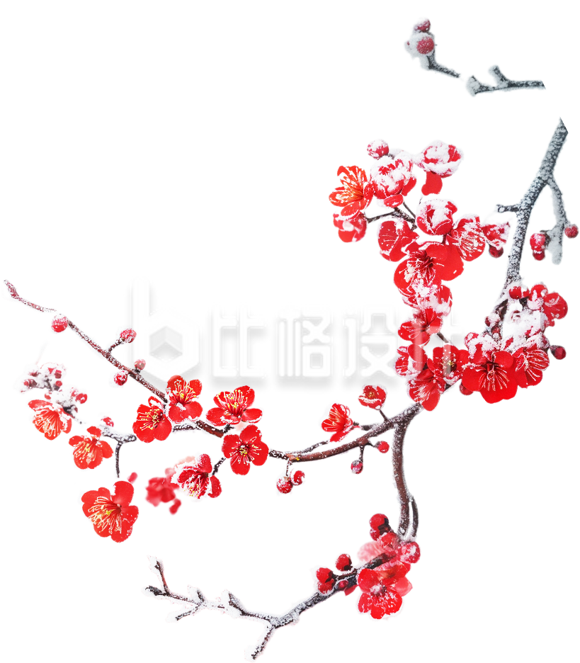一枝红梅