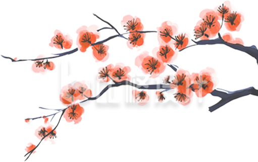 冬季红色梅花手绘插画