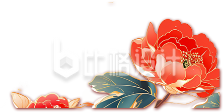 一朵牡丹花