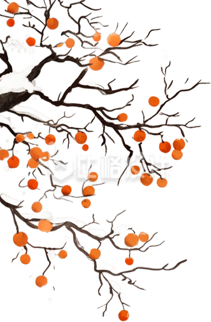 柿子树枝