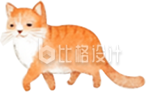 橘色猫咪