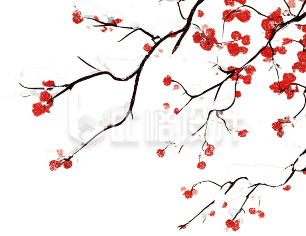 冬季红梅
