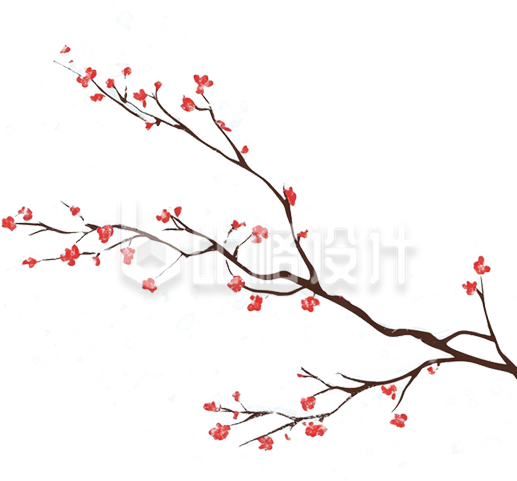 冬季梅花